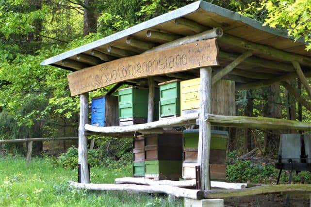 Waldbienenstand Bienenstand